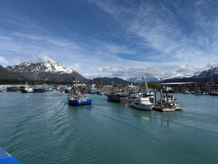 Alaska Day Trips From Anchorage That Don't Feel Like Day Trips