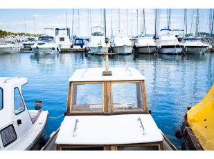 The Etiquette of Conscious Boating in Protected Waters