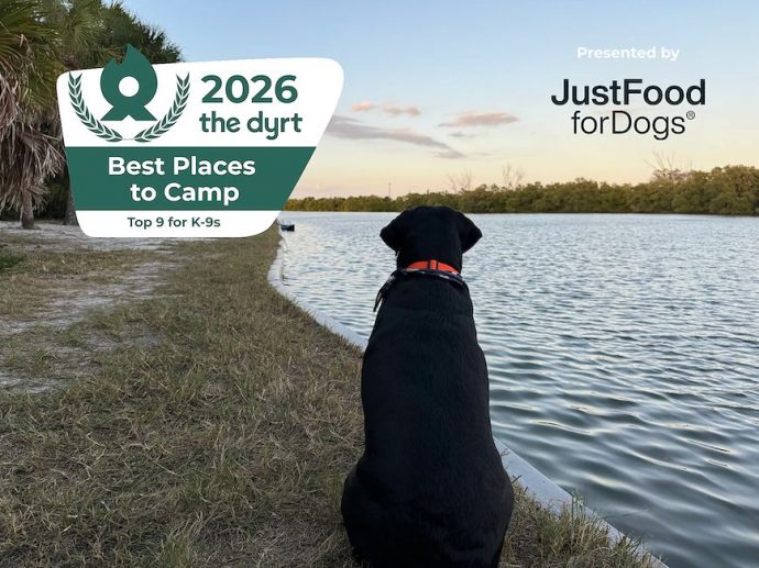 Top 9 for K-9s: 2026 Best Places to Camp with Dogs, According to The Dyrt