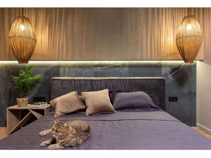 How to Plan a Luxury Holiday With Your Cat