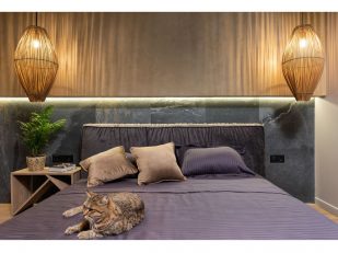 How to Plan a Luxury Holiday With Your Cat