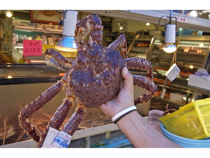 Sapporo Tourist Association: A Spotlight on Sapporo's Local Gastronomy