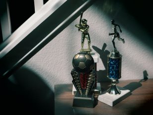 5 Unique Styles For A Championship Baseball Trophy