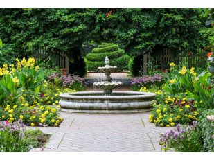 How Comparing Landscaping Companies Near Me Can Save You Money