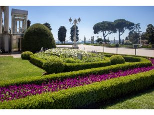 The Art of Designing an Eco-Conscious Luxury Garden