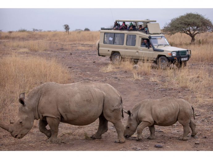 Redefining Family Travel: The Luxury Safari Experience in Africa