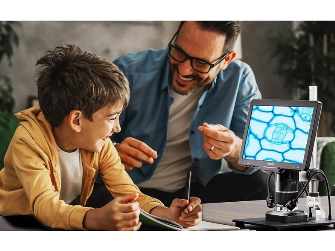Hand Germs Under a Microscope: What You Can Actually See?