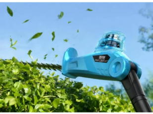 Should You Trim Hedges Before Winter