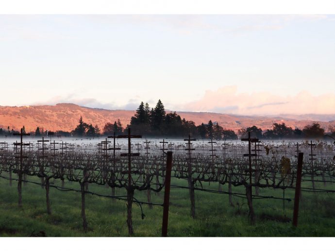 Sequoia Grove Winery Elevates Game Day Entertaining with Chef-Crafted Recipes and Wine Pairings