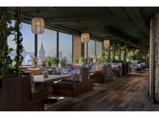 Treehouse Hotel Manchester is Branching Out
