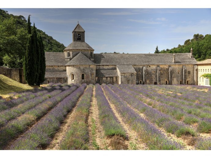 Why Provence Is Best Experienced Slowly: The Case for Staying in One Place