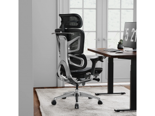 How to Choose an Ergonomic Office Chair for 8&ndash;10 Hour Workdays