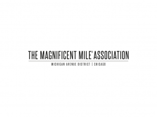 The Magnificent Mile Lights Festival