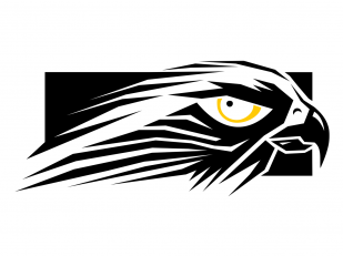Falcon Northwest