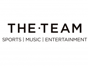 THE&middot;TEAM (formerly Wasserman)