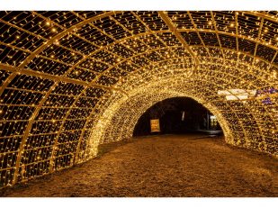 Why Event Planners Trust LED Show Vision for Affordable Vegas LED WALL RENTALS
