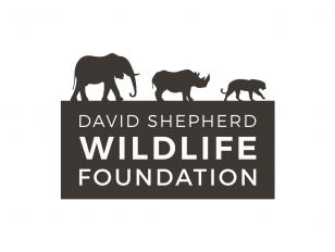 Wildlife Ball (David Shepherd Wildlife Foundation)