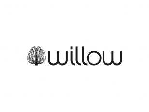 Willow Ball