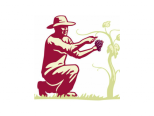 &iexcl;Salud! The Oregon Pinot Noir Auction
