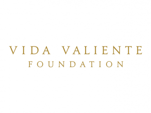 Napa in Cabo (Vida Valiente Foundation)