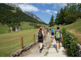 Essential Gear and Preparation for a Luxury Walking Holiday