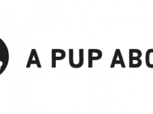 A Pup Above