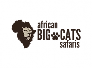 African Big Cats Safaris