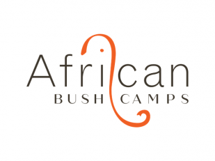 African Bush Camps