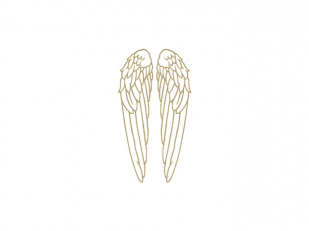 Angel's Envy