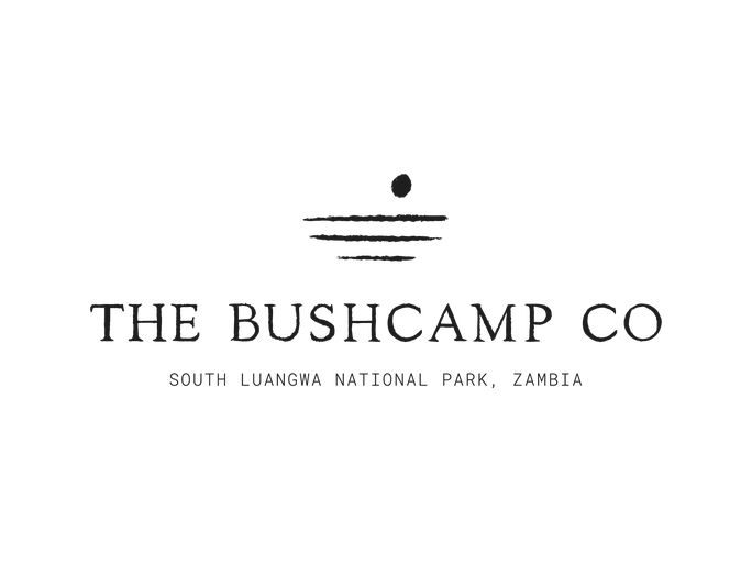The Bushcamp Company