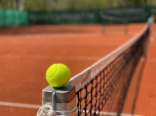 From Courtside Luxury to Tennis Odds: How the Modern Tennis Experience Is Evolving