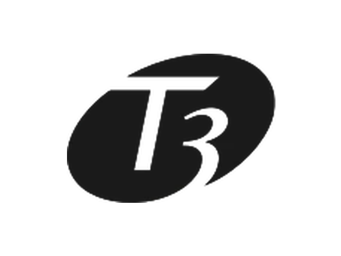 T3