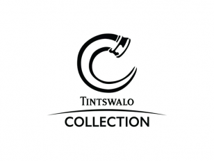 Tintswalo
