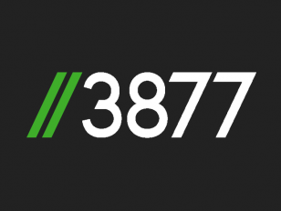 3877
