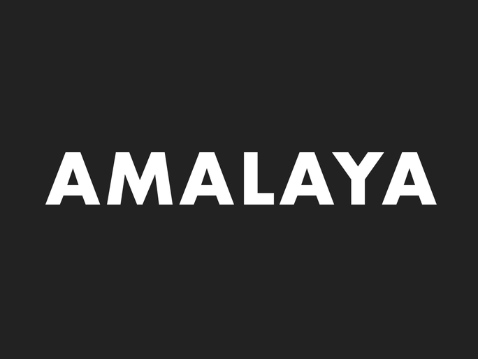 Bodega Amalaya
