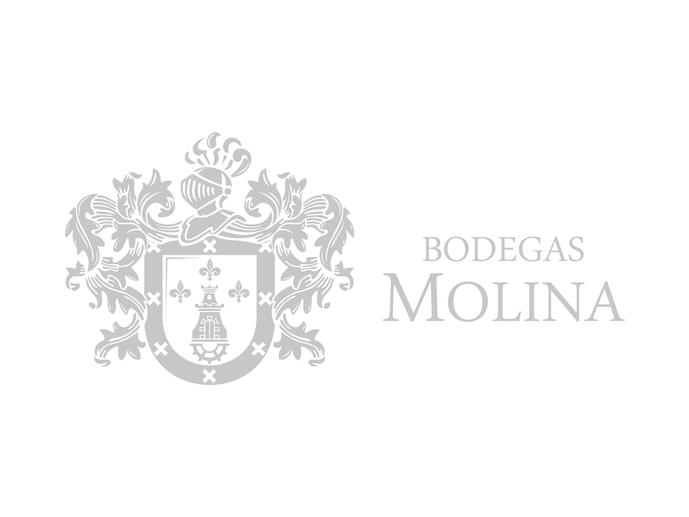 Bodegas Molina