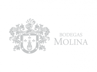 Bodegas Molina