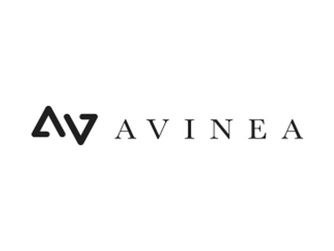 Grupo Avinea