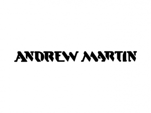 Andrew Martin