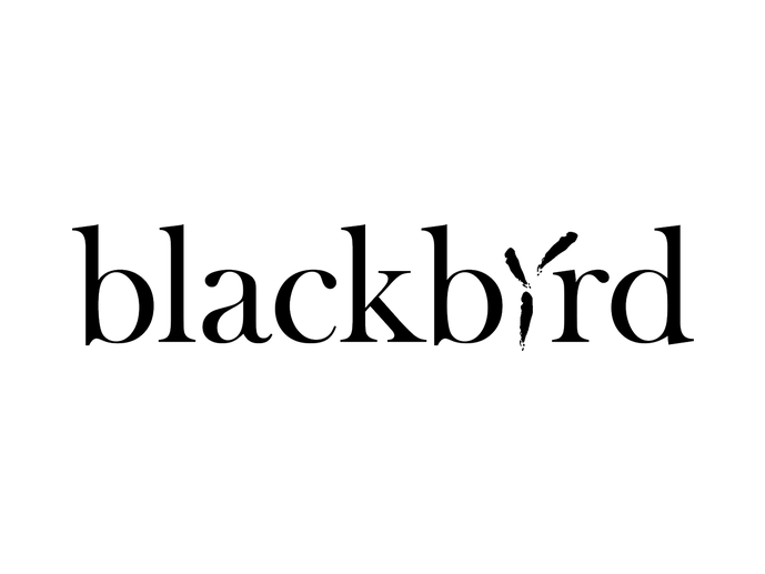 Blackbird Studio