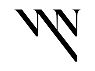 Vyn - Daniel Berlin