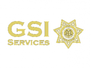 GSI Services
