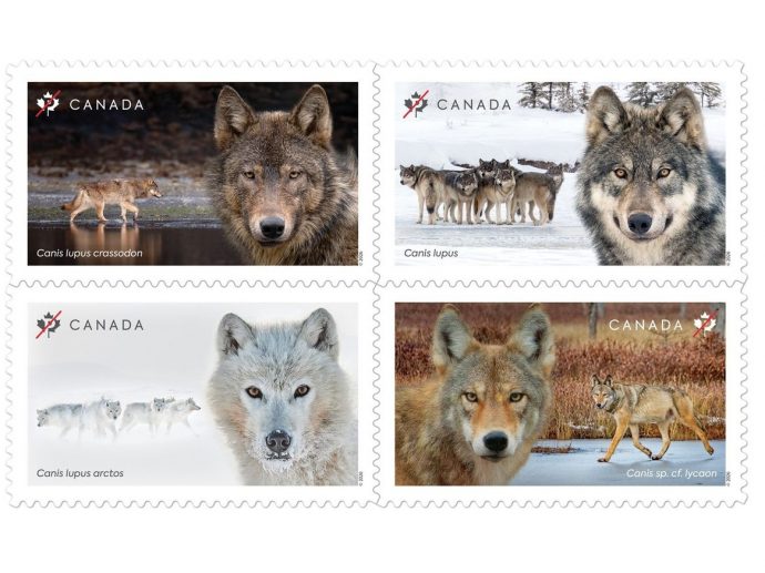New Stamps Highlight the Ecological Importance of Wolves in Canada