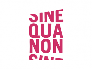 Sine Qua Non Salon