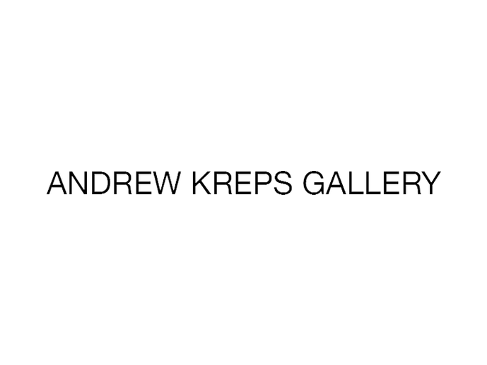 Andrew Kreps Gallery
