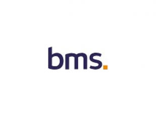 BMS Group