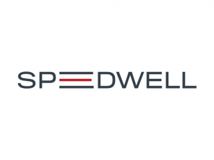 Speedwell