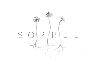 Sorrel