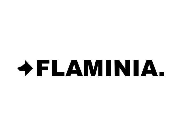 Ceramica Flaminia