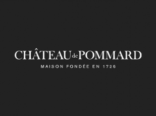 Ch&acirc;teau de Pommard